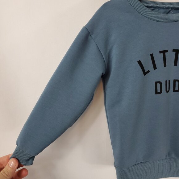 Adorable Blue/Grey Boys Long Slv Crew Neck Sweater "Little Dude" Sz 5T - Picture 4 of 8
